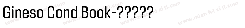 Gineso Cond Book字体转换